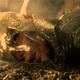 Hopefully not like this. (Image: Game Of Thrones)